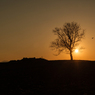ALONE