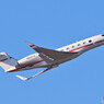 Big Dog Aviation Llc