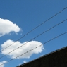 青い空。。99