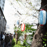 spring for tokyoites 2025