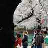 spring for tokyoites 2025