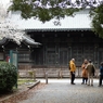 spring for tokyoites 2025