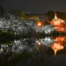 ②「夜桜花見」