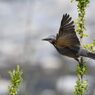 さあ、次行こうか！　　DSC_1752