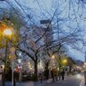 さくらの夜は…