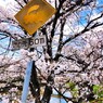 標識の物体がわからない子供達がいる時代