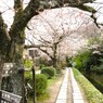 こころしるべ～みちしるべ～