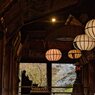 桜色の本堂　弐