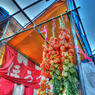 P1030498_499_500_HDR02