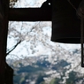 spring for tokyoites 2025