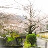 この春の１日を…