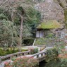 東山のふもとに佇む法然院～