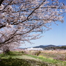 キヤノンも写ったよ(=^・^=)film