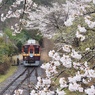 紗のかかる光景