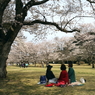 写真エッセイ：さくら宇宙公園さくら祭り６：NTW598