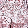 3月の空