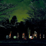 写真歌：さくら宇宙公園さくら祭り15：Light up７
