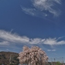 青空の下
