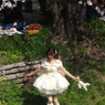 「さくら色」   ~  白 い 妖 精 現 る ~