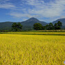 秋の八ヶ岳山麓