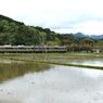 田植えの準備は万端