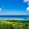 小浜島