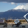 香貫山3