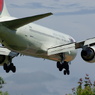 B767-300  JA8675