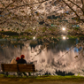 弘前公園の夜‐2025