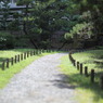 夏の庭道