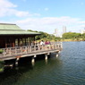 湖の家