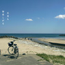 写真句：海へ８：若者たち：NTW626