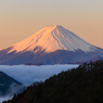 雲海従える朝焼け富士