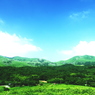 Panorama View