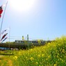 子供達の明るい未来を願って泳ぐ（明日　こどもの日）
