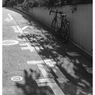 坂道の途中で･･･