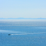 BLUE OCEAN