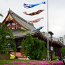 「５月の風吹いて」