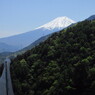 裾野