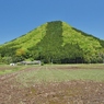 新緑の山