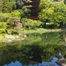 瑠璃光寺の五重塔