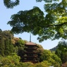 新緑を額縁にした瑠璃光寺の五重塔