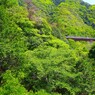 新緑の渓谷