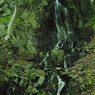 流れ