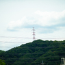 １本目　全景　ELMARIT R 180mm f2.8 TYPEll
