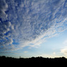大雲