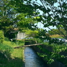写真エッセイ：玉川