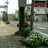 写真エッセイ：わが町点描31：駅前通り：NTW639