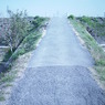 道の向こう