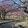 根岸森林公園にて
